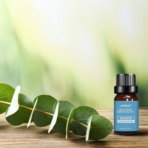 Eucalyptus