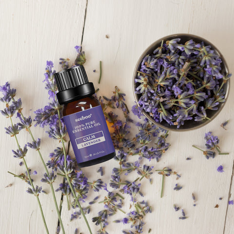 Lavender
