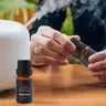 TOP 6 ESSENTIAL OILS